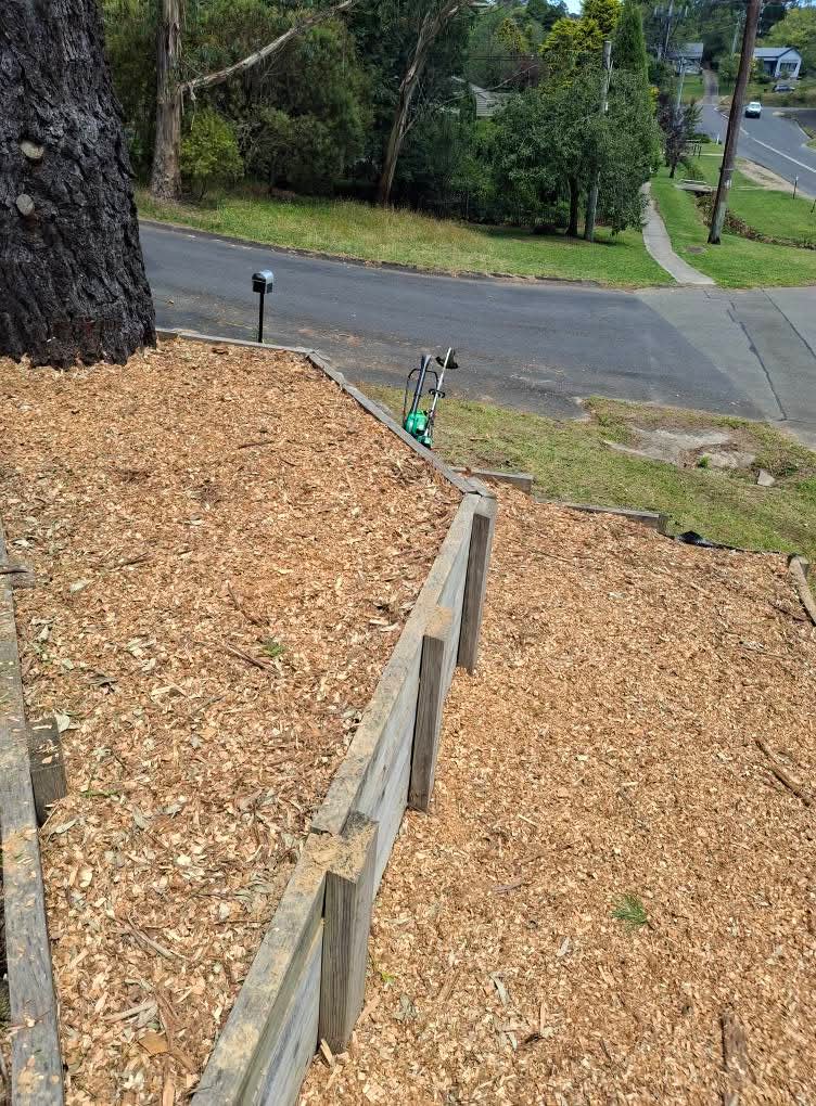 Freshly mulched garden beds with clean timber sleeper edges