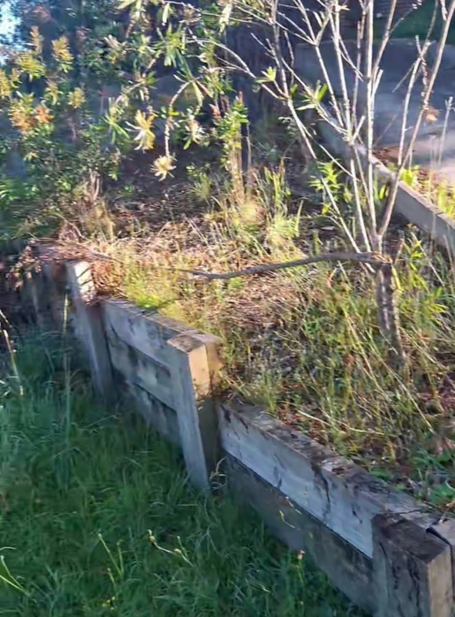 Overgrown garden bed with weeds growing between old timber sleepers