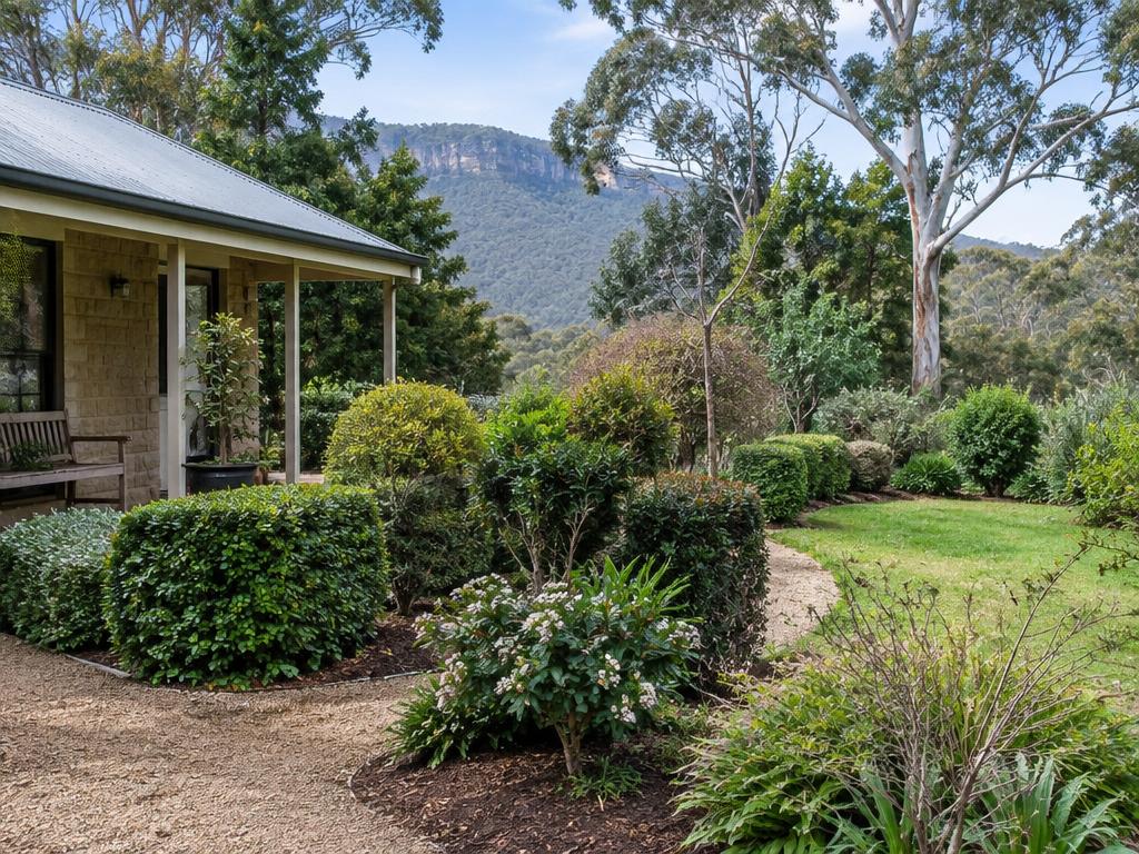 Garden Tidy-Ups
